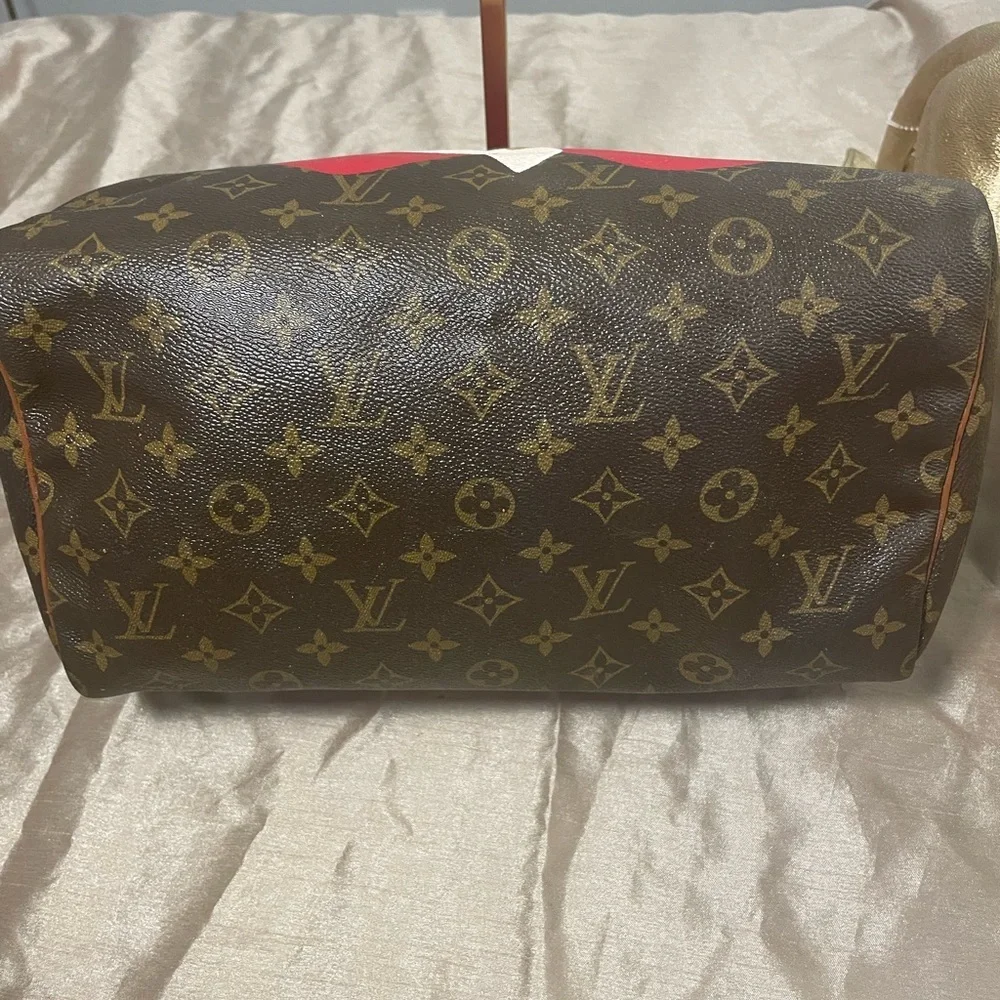 Authentic LOUIS Vuitton Speedy Bag with young artists painting